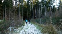  Blick auf die Wanderstrecke 