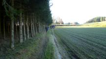 Blick auf die Wanderstrecke durch die Riede Ebenfeld 