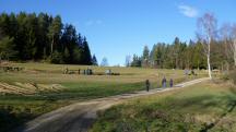 Blick auf die Wanderstrecke durch die Riede Ebenfeld 