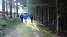  Blick auf die Wanderstrecke 
