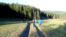  Blick auf die Wanderstrecke nach Hhendorf 