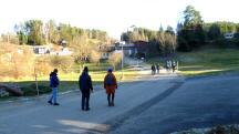  Blick auf die Wanderstrecke in Hhendorf 