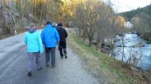 Blick auf die Wanderstrecke entlang der L77 und des Kamps