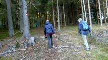 Blick auf die Wanderstrecke 