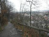  schöner Wanderweg bergab Richtung Enns 
