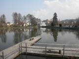  der Pregartenteich 