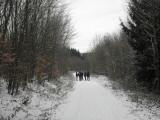  auf schönem Wanderweg geht es bergab 