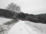  auf schönem Wanderweg geht es bergab 