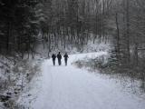  auf schönem Wanderweg geht es bergab 