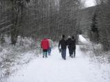  auf schönem Wanderweg geht es bergab 
