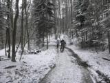  bergab auf der schon bekannten Wanderroute 