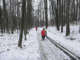  bergab auf der schon bekannten Wanderroute 