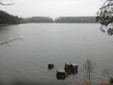  Blick ber den groen Viehofner See 