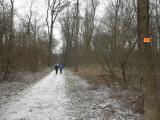  Wanderweg durch die Au 