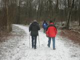  Wanderer in der Au 