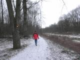  Wanderweg entlang eines Donaualtarm - Krumpenwasser 