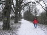  Wanderroute auf schnen Wegen 