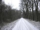  weit ist der Blick 