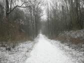  Wanderweg durch die Au 