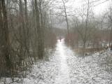  Wanderweg durch die Au 