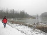  Wanderweg vorbei an Donaualtarmen 