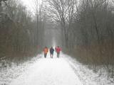  Wanderweg durch die Au 