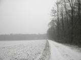  Wanderweg am Aurand 