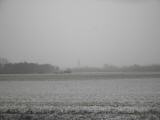  Fernblick zum Kirchenturm von Stockerau 
