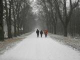  Wanderweg in der Nhe des Forsthauses 