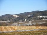  Fernblick zur Ruine Hohenegg 
