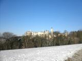  Blick zur Burgruine Hohenegg 