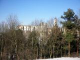  Blick zur Burgruine Hohenegg 