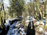  Wanderweg nach Stein-Eichberg 