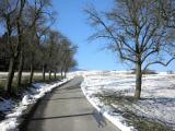  Wanderweg bergan auf dem Kahlenberg 