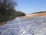  Wanderweg im Seegraben nach Pfaffing 