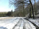  Winterlicher Wanderweg 