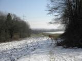  Wanderweg nach Wimpassing an der Pielach 
