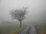  auch der Nebel macht stimmungsvolle Bilder 