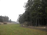  leicht bergan 