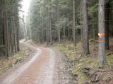  Wanderroute durch den Wald am Hinterberg 