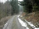  Wanderroute durch den Wald am Hinterberg 