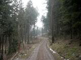  Wanderroute auf schnen Forstwegen 