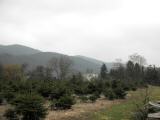  Fernblick zur Mollenburg 