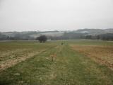 Wanderroute nach Truckenstetten 