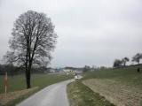  Fernblick nach Edelbach 