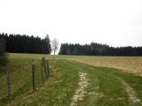  Wanderweg leicht bergan 