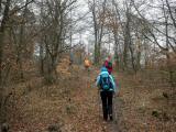  Wanderweg zur Hamerlingwarte 