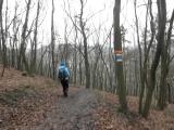  Wanderweg bergab nach Gars 