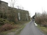  Babenberger Burgruine 