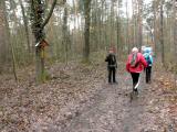  Wanderweg durch den Wald des Tabors 